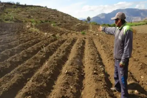 Los andenes permiten aprovechar las tierras de cultivo en las laderas de las montañas.  ANDINA/Difusión