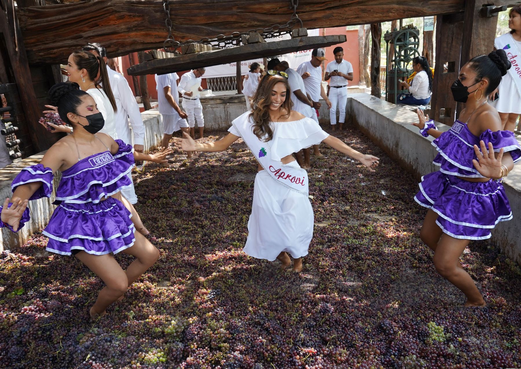 La Ruta de los Lagares forma parte de las actividades del Festival Internacional de la Vendimia. Foto: Genry Bautista