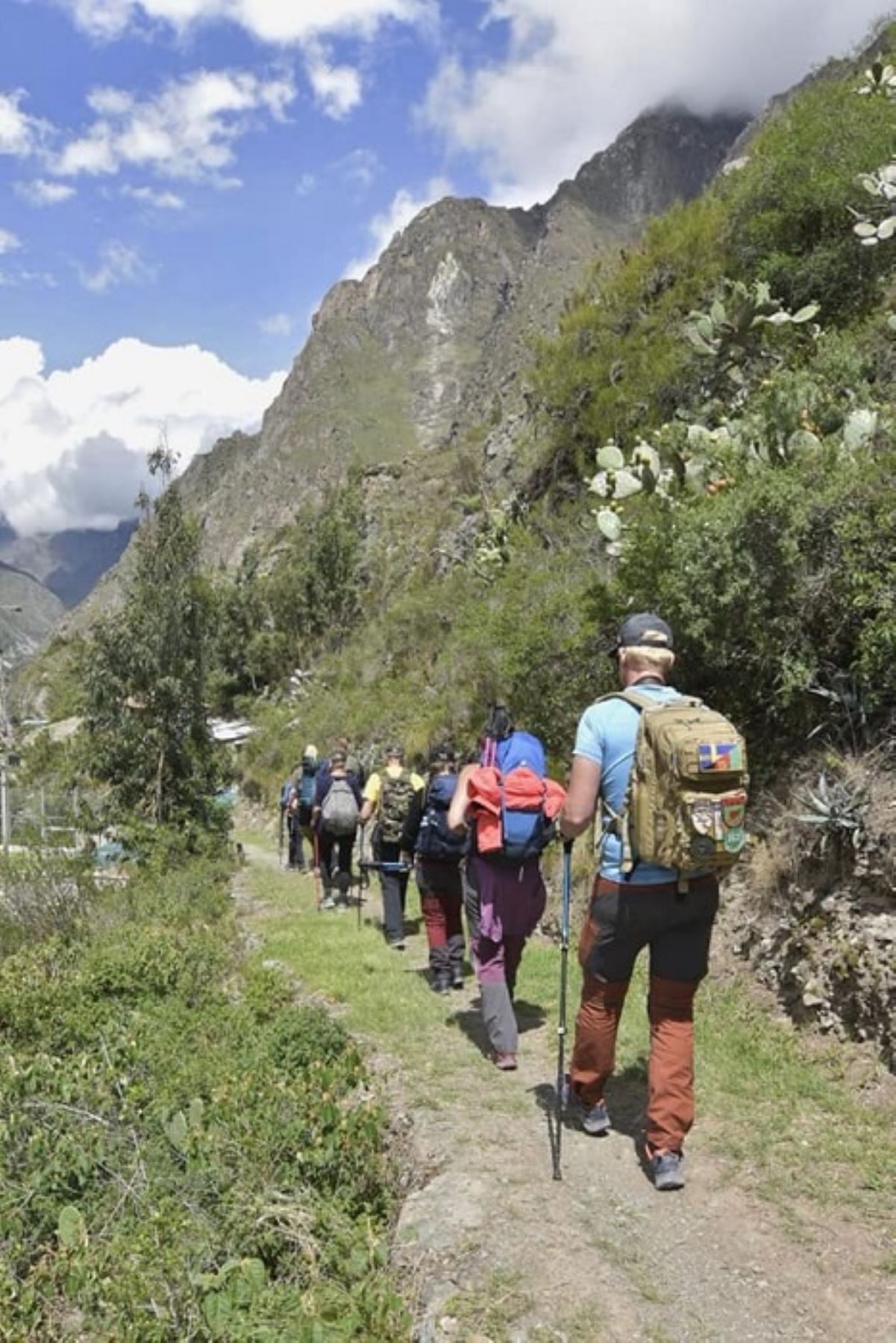 Red de Caminos Inca conduce a la ciudadela inca de Machu Picchu. Foto: Cortesía