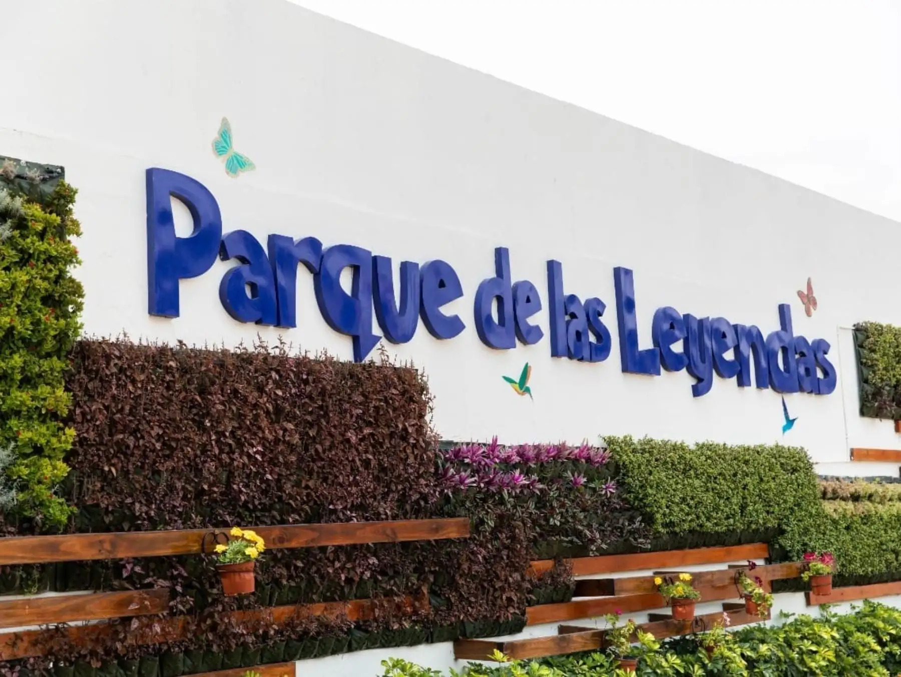 Fiestas Patrias: conoce las actividades que podrás disfrutar en el Parque de las Leyendas. Foto: ANDINA/Difusión.