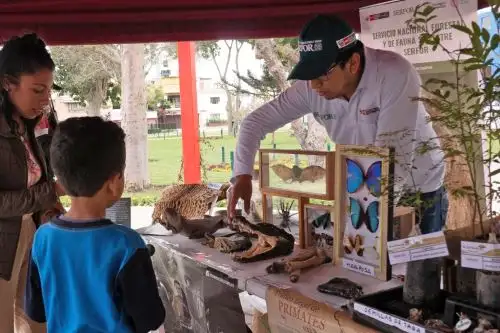 El Perú celebrará esta importante fecha en homenaje a todas aquellas personas e instituciones que marcan la diferencia y realizan acciones a favor de los recursos de flora y fauna silvestre. Foto: Serfor