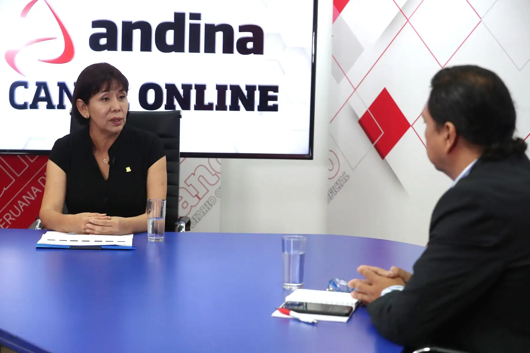 La ministra de la Mujer y Poblaciones Vulnerables (MIMP), Nancy Tolentino, informó hoy que su sector está orientando esfuerzos para que las adolescentes peruanas no solo terminen su educación secundaria sino que, a través de mentorías y acompañamientos, consigan empleos calificados que le permita hacer frente a la dependencia económica y romper círculos de violencia. Foto: ANDINA/ Vidal Tarqui
