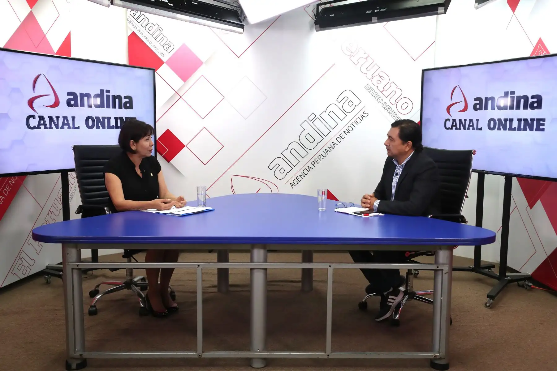 En entrevista con el programa Andina al Día de Andina Canal Online, a pocos días del Día Internacional de la Mujer, Tolentino Gamarra adelantó que en los próximos meses el MIMP lanzará un programa mediante el cual se podrá certificar los estudios técnicos de las adolescentes, a fin de que consigan un empleo digno. Foto: ANDINA/ Vidal Tarqui