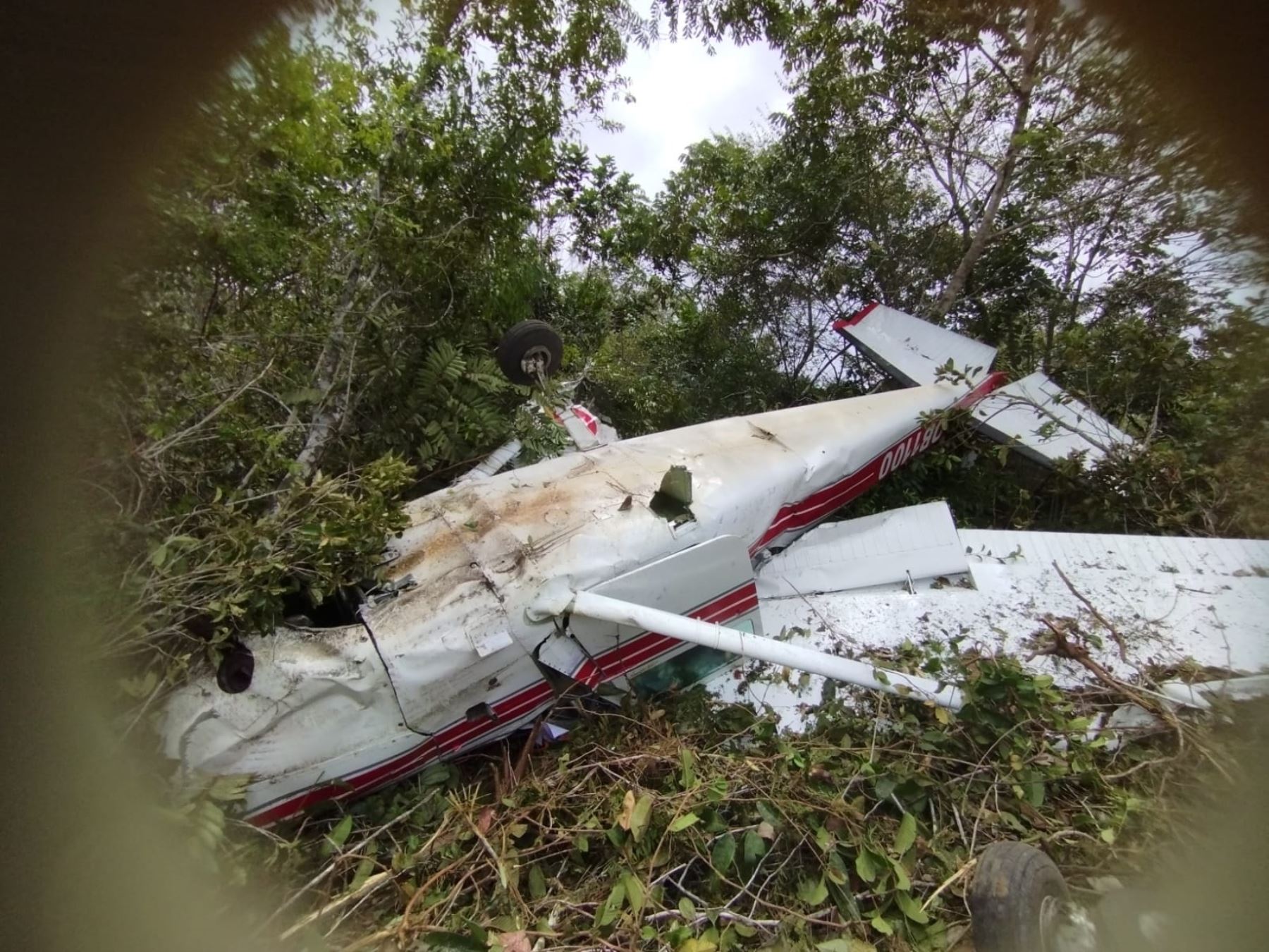 Una avioneta civil sufrió una caída en el aeródromo del distrito de Jeberos, en la provincia loretana de Alto Amazonas. El accidente dejó un herido. Foto: ANDINA/difusión.