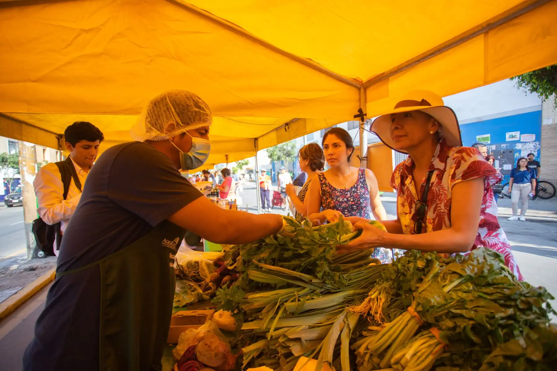 Ministra de Desarrollo Agrario y Riego, Nelly Paredes 
visita Feria "de la Chacra a la Olla" en Breña  
Foto: ANDINA/Difusión Ministra de Desarrollo Agrario y Riego, Nelly Paredes 
visita Feria "de la Chacra a la Olla" en Breña  
Foto: ANDINA/Difusión