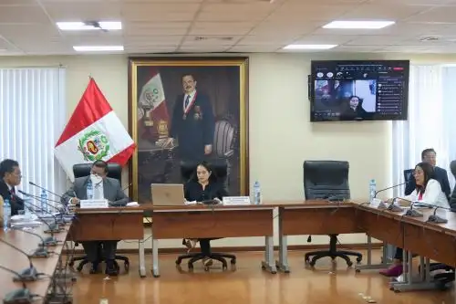 Foto: ANDINA/Ricardo Cuba.