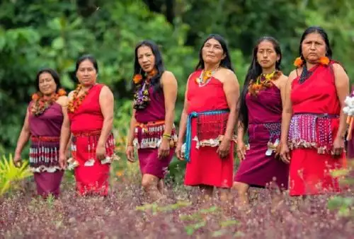 el Bosque de las Nuwas o bosques de las mujeres en el idioma Awajún, espacio manejado íntegramente por las mujeres de la comunidad nativa de Shampuyacu, que luego de haber perdido la mayoría de su cobertura forestal, se organizaron para proteger las casi nueve hectáreas de bosque comunal, y poner en valor su cultura, rescatando sus conocimientos ancestrales vinculado al uso tradicional de plantas medicinales.