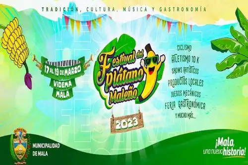 Mala se prepara para el Festival del Plátano y espera más de 5,000 visitantes