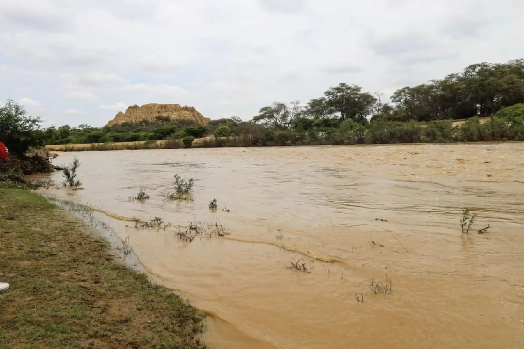 El río La Leche crece por la noche 1.5 metros de altura y pone en riesgo a la huaca El Loro, en el santuario histórico Bosque de Pómac. Foto: ANDINA/Difusión