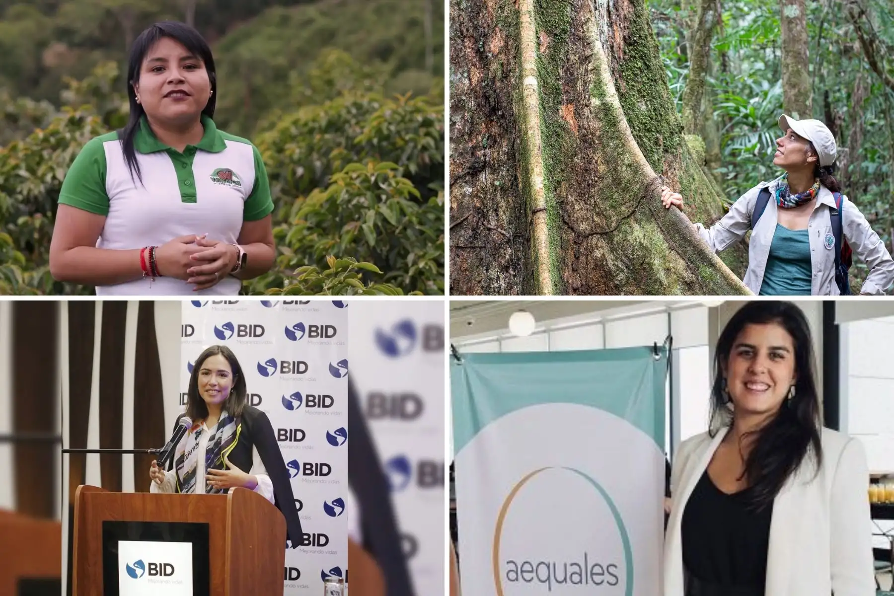 Sandra Santisteban (esquina superior izquierda), Tatiana Espinosa (esquina superior derecha), Marlene Molero (esquina inferior izquierda) y Andrea de la Piedra (esquina inferior derecha) son algunas de las emprendedoras peruanas que destacan con sus startups. Foto: ANDINA/Difusión