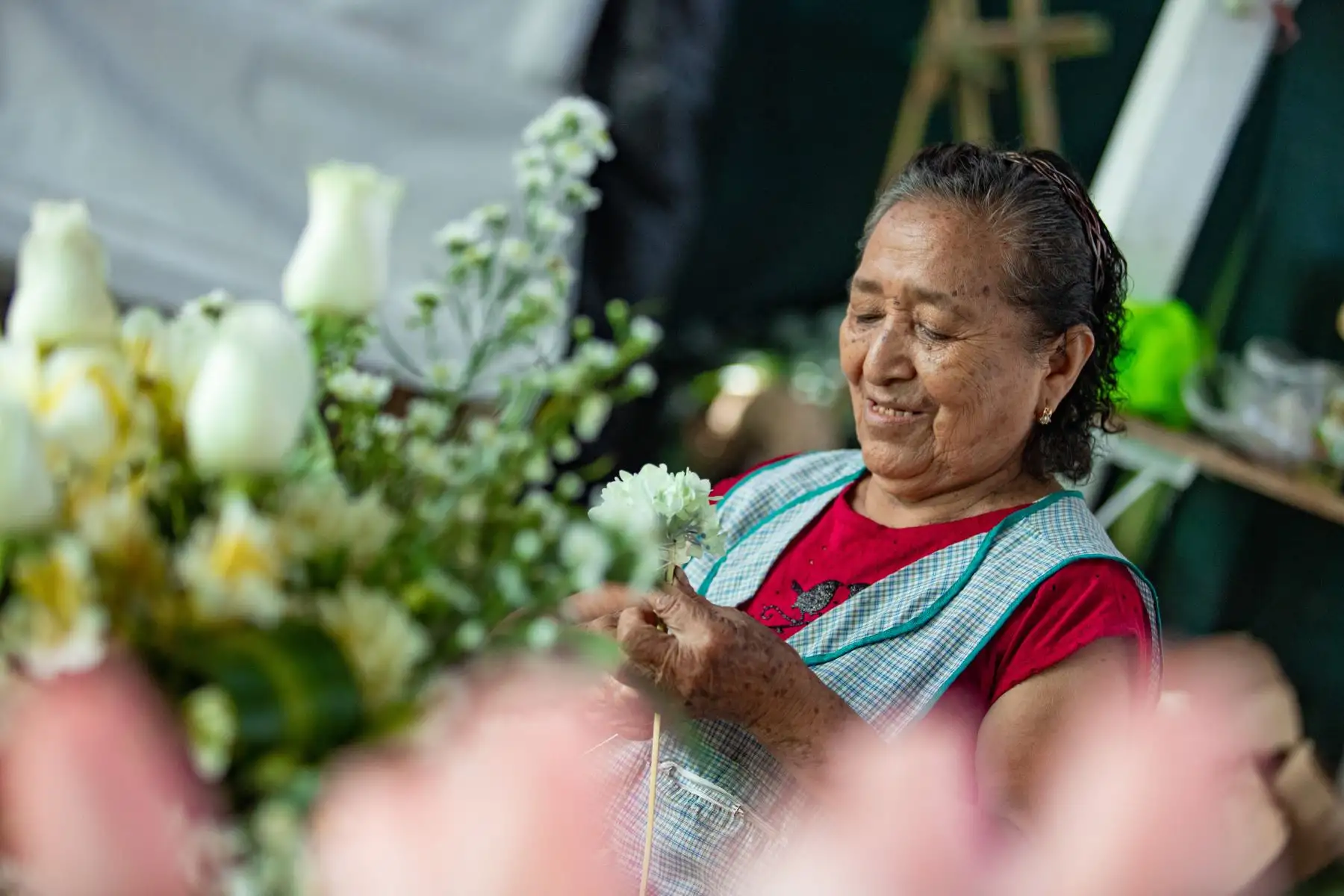 La Ministra de Desarrollo Agrario y Riego, Nelly Paredes, en el marco del día Internacional de la Mujer participó de la activación de la campaña “Por un Perú que Florece” que se realizó en el mercado de flores de Santa Rosa, en el Rímac.
Foto: ANDINA/MIDAGRI