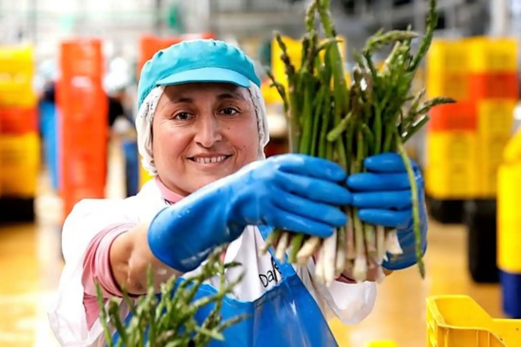 El Ministerio de la Producción destaca la participación de las mujeres en la gestión de micro y pequeñas empresas en el Perú. Foto: PRODUCE/Difusión.