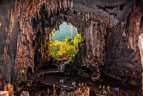 El Parque Nacional Tingo María de Huánuco figura por tercer año consecutivo en el TOP 100 Green Destinations Story Award. Foto: Promperú