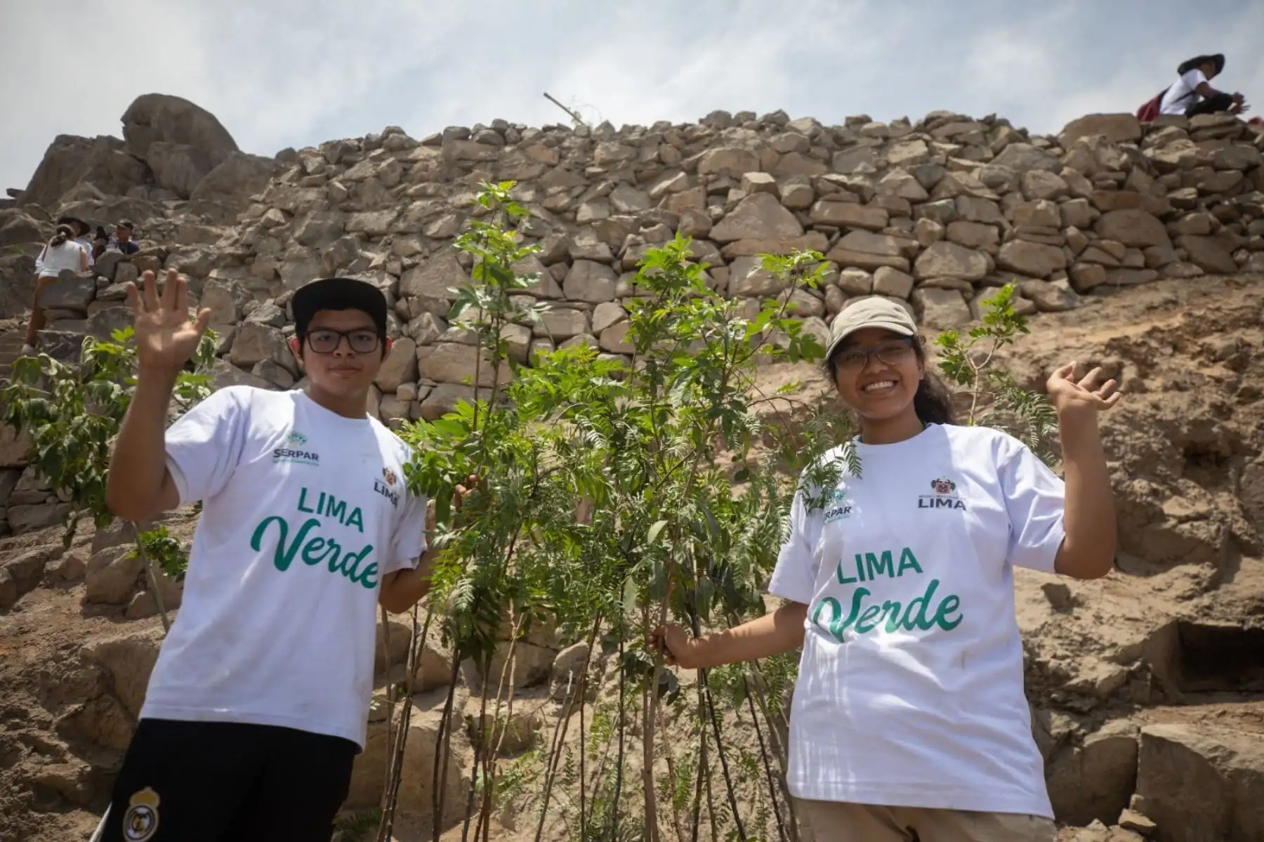 El proyecto Lima Verde tiene como meta plantar un millón de árboles y de esta forma reforestar las laderas de los cerros, lomas, bermas centrales de las vías metropolitanas y locales, así como los espacios públicos recreativos, para crear pulmones urbanos que generen oxígeno y belleza paisajística en beneficio de la salud de todos los ciudadanos. Foto: ANDINA/Municipalidad de Lima