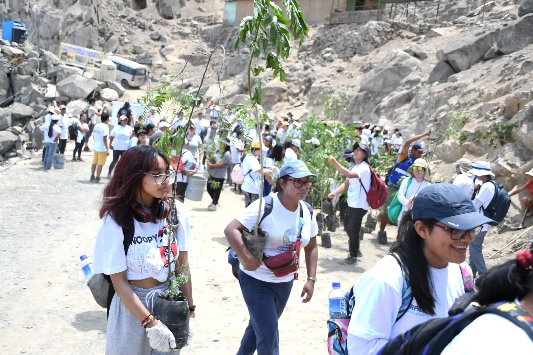 El proyecto Lima Verde tiene como meta plantar un millón de árboles y de esta forma reforestar las laderas de los cerros, lomas, bermas centrales de las vías metropolitanas y locales, así como los espacios públicos recreativos, para crear pulmones urbanos que generen oxígeno y belleza paisajística en beneficio de la salud de todos los ciudadanos. Foto: ANDINA/Municipalidad de Lima