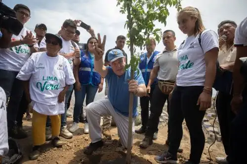 Voluntariado Municipal de Lima realizó el plantado de 150 árboles en la zona de las Lomas del Santuario de las Vizcachas, ubicado en el distrito de Villa María del Triunfo. La campaña Lima Verde, contó con la participación del alcalde de Lima, Rafael López Aliaga. Foto: ANDINA/Municipalidad de Lima