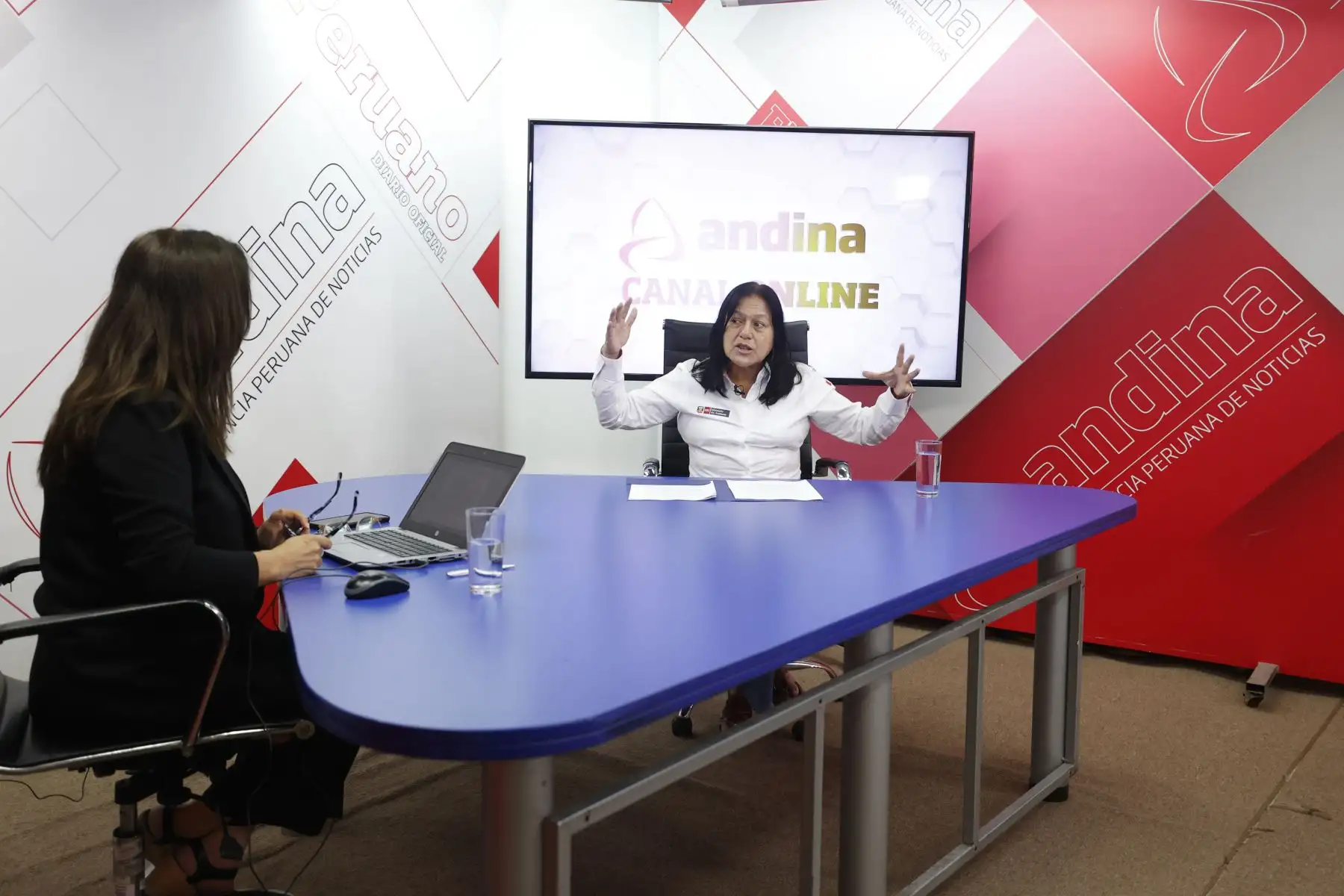 Entrevistamos a la ministra del Ambiente, Albina Ruiz. Conversamos sobre la coyuntura actual, cómo actúa el sector frente a riesgos de desastres, inundaciones, deslizamientos, incendios forestales, la Gran Cruzada Verde que impulsan, la intervención de Perú en la conservación de los océanos, entre otros temas #AndinaCanalOnline. Foto: ANDINA/Vidal Tarqui
