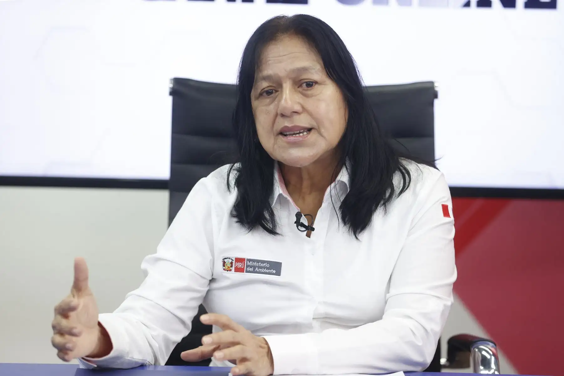 Entrevistamos a la ministra del Ambiente, Albina Ruiz. Conversamos sobre la coyuntura actual, cómo actúa el sector frente a riesgos de desastres, inundaciones, deslizamientos, incendios forestales, la Gran Cruzada Verde que impulsan, la intervención de Perú en la conservación de los océanos, entre otros temas #AndinaCanalOnline. Foto: ANDINA/Vidal Tarqui