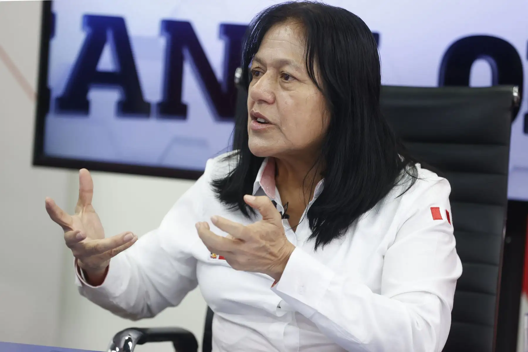La articulación del Ministerio del Ambiente con los gobiernos regionales, locales y la población es óptima para la ejecución de iniciativas nacionales como la Cruzada Verde de reforestación y recuperación de bosques, y Chuya Chuya Perú, destinada a la limpieza y recuperación de zonas degradadas por acumulación de residuos sólidos, destacó la ministra del Ambiente, Albina Ruiz. ANDINA/Vidal Tarqui