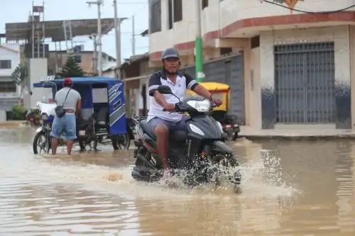 Foto: ANDINA/Ricardo Cuba.