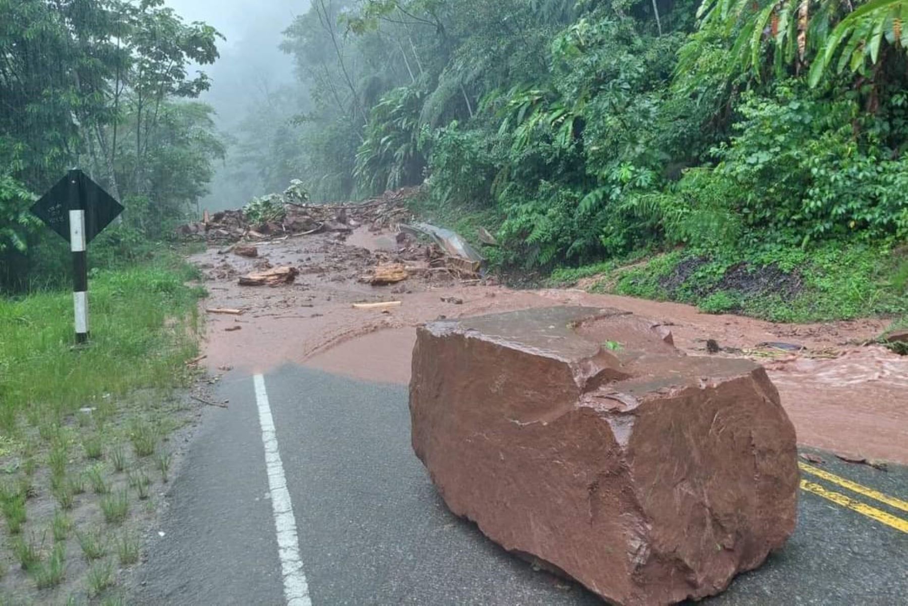 Deslizamiento de rocas y lodo interrumpió un tramo de la carretera Yurimaguas-Tarapoto. Foto: Difusión.
