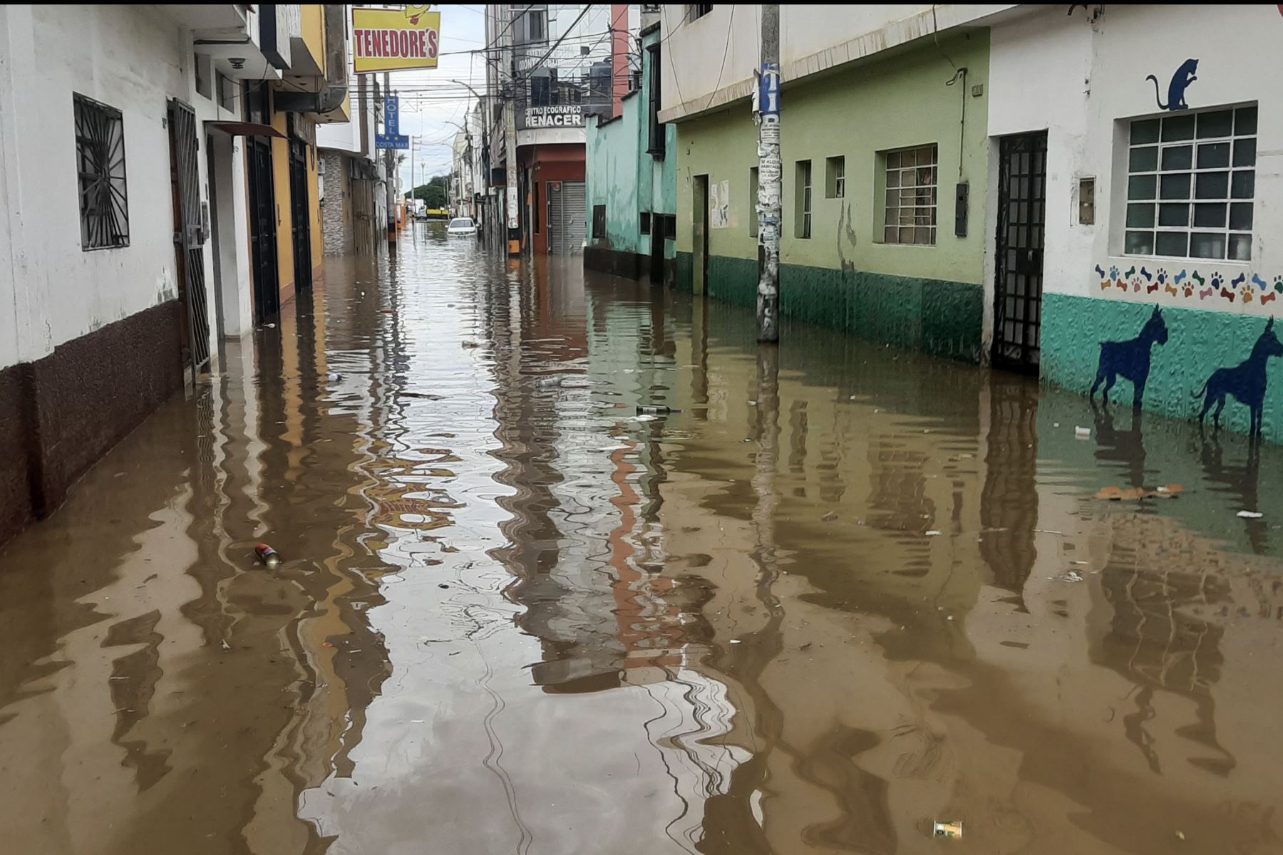 El centro poblado Santa Lucía, en la provincia liberteña de Pacasmayo, soportó ayer una torrencial lluvia de más de seis horas. Foto: ANDINA/Cortesía Luis Puell