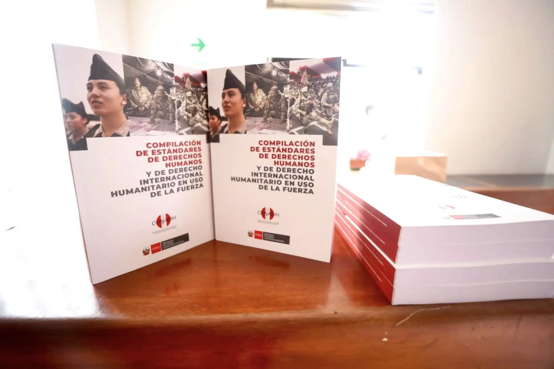 El Ministerio de Justicia y Derechos Humanos (MINJUDSH) presentó el libro “Compilación de estándares de Derechos Humanos y de Derecho Internacional Humanitario en uso de la fuerza”, que busca coadyuvar en la efectiva prevención del uso arbitrario de la fuerza por parte de los/as agentes públicos/as, así como promover la adecuada labor de los/as operadores/as de justicia. 
Foto: ANDINA/MINJUDSH