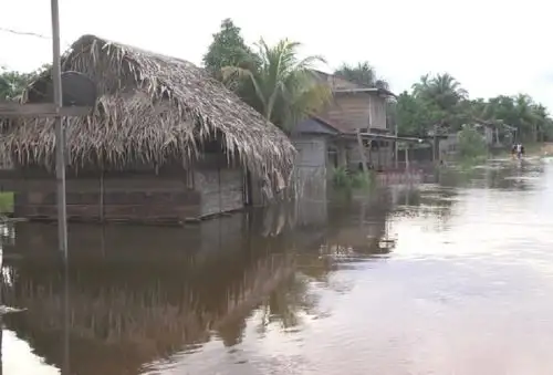 Más de un centenar de viviendas, áreas de cultivo y cabezas de ganado de los caseríos Petroleros, Triunfo, Nuevo Horizonte y San Lucas, en las inmediaciones de la carretera Iquitos-Nauta, fueron inundadas por el desborde de las quebradas Tocón, Pintuyacu y Lindero.