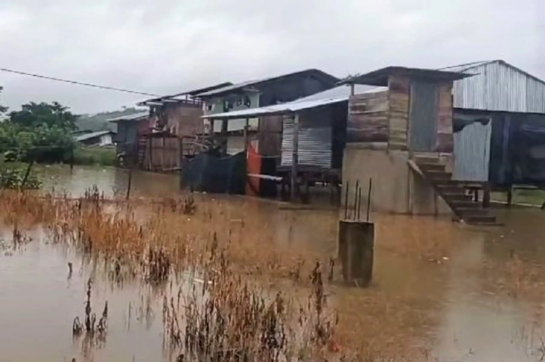 San Martín: lluvias intensas causan inundación de 31 viviendas en San Pablo y Campanilla | Agencia Andina