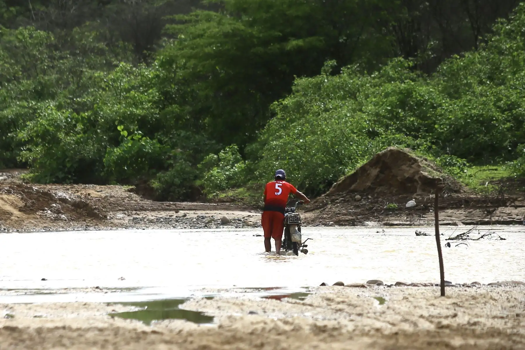A unos días de la torrenciales lluvias en Tumbes los pobladores cruzan  quebradas inundadas  para llegar a sus hogares, las casas lucen llenas lodo en las habitaciones claramente afectadas por la naturaleza. 

Foto: ANDINA/Ricardo Cuba