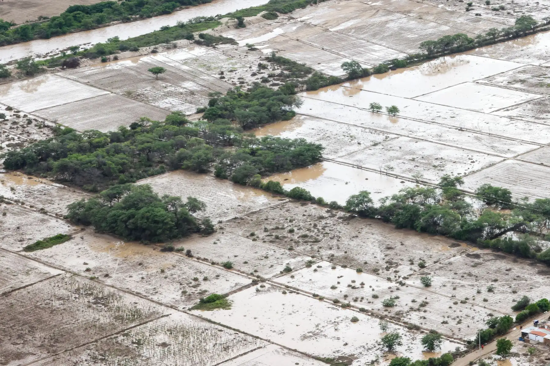 Presidenta de la república, Dina Boluarte, sobrevuela la zona de Mórrope, Pacora e Illimo en Lambayeque, afectadas por las fuertes lluvias. Foto: ANDINA/Prensa Presidencia