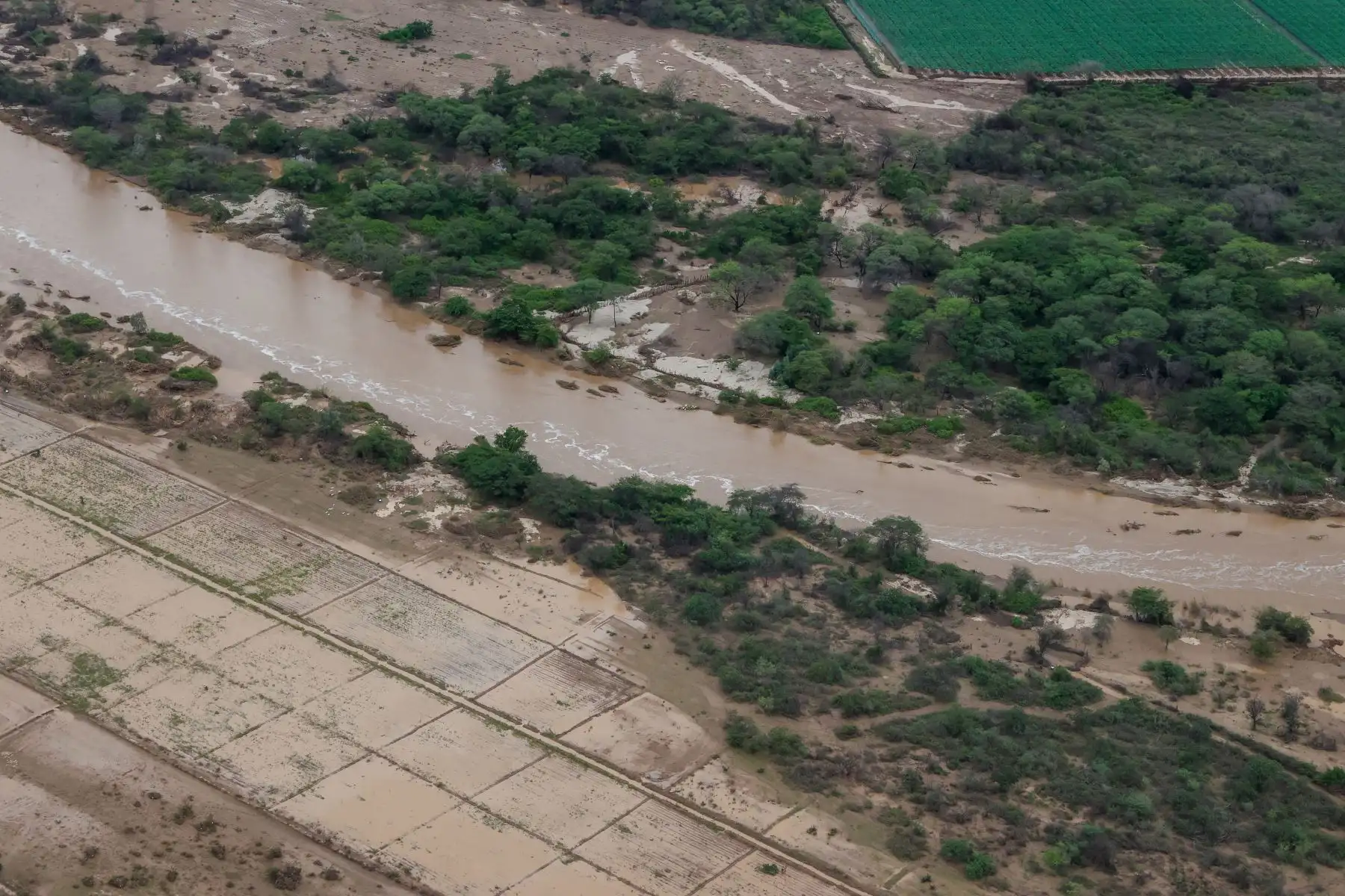 Presidenta de la república, Dina Boluarte, sobrevuela la zona de Mórrope, Pacora e Illimo en Lambayeque, afectadas por las fuertes lluvias. Foto: ANDINA/Prensa Presidencia