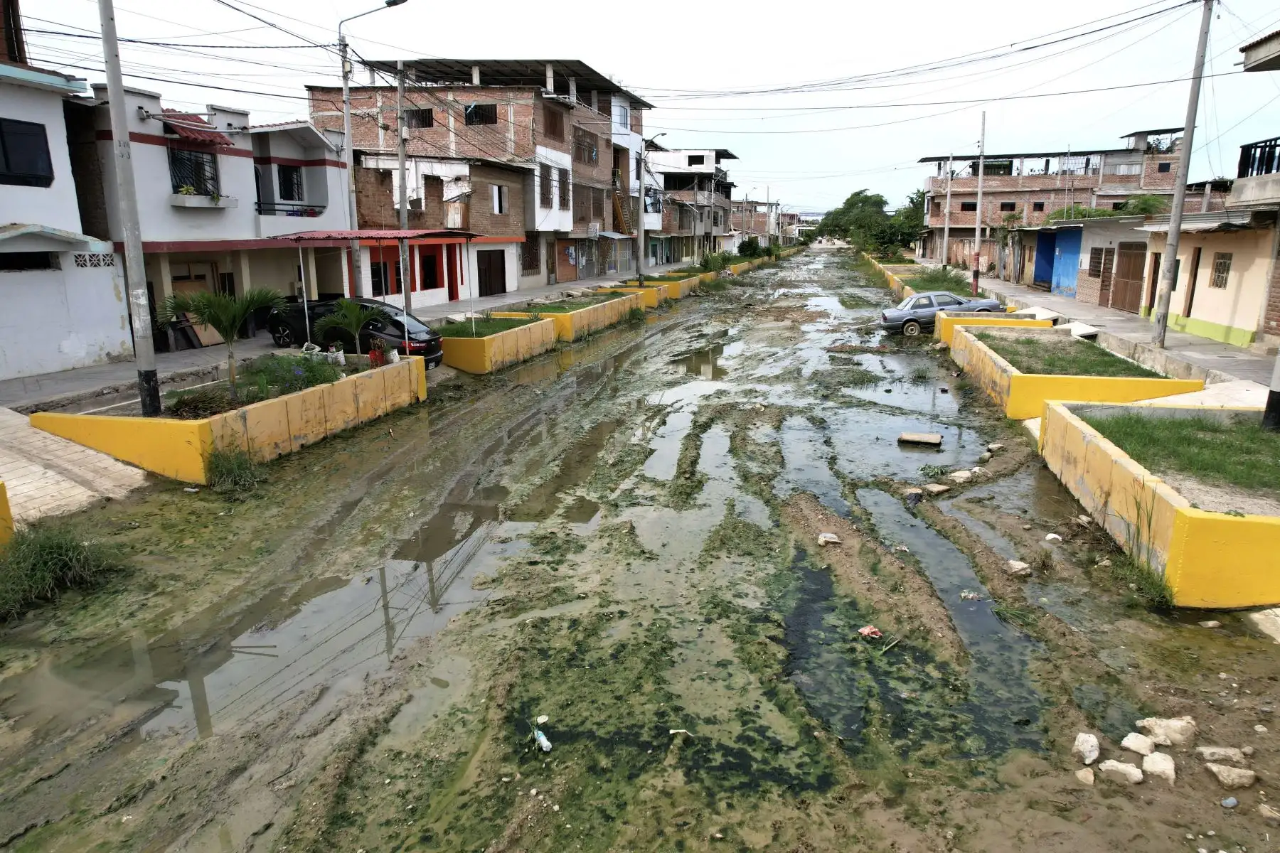 Principales calles de la ciudad de Tumbes llenas de lodo luego varios días de lluvias por el ciclón Yaku.

Foto: ANDINA/Ricardo Cuba