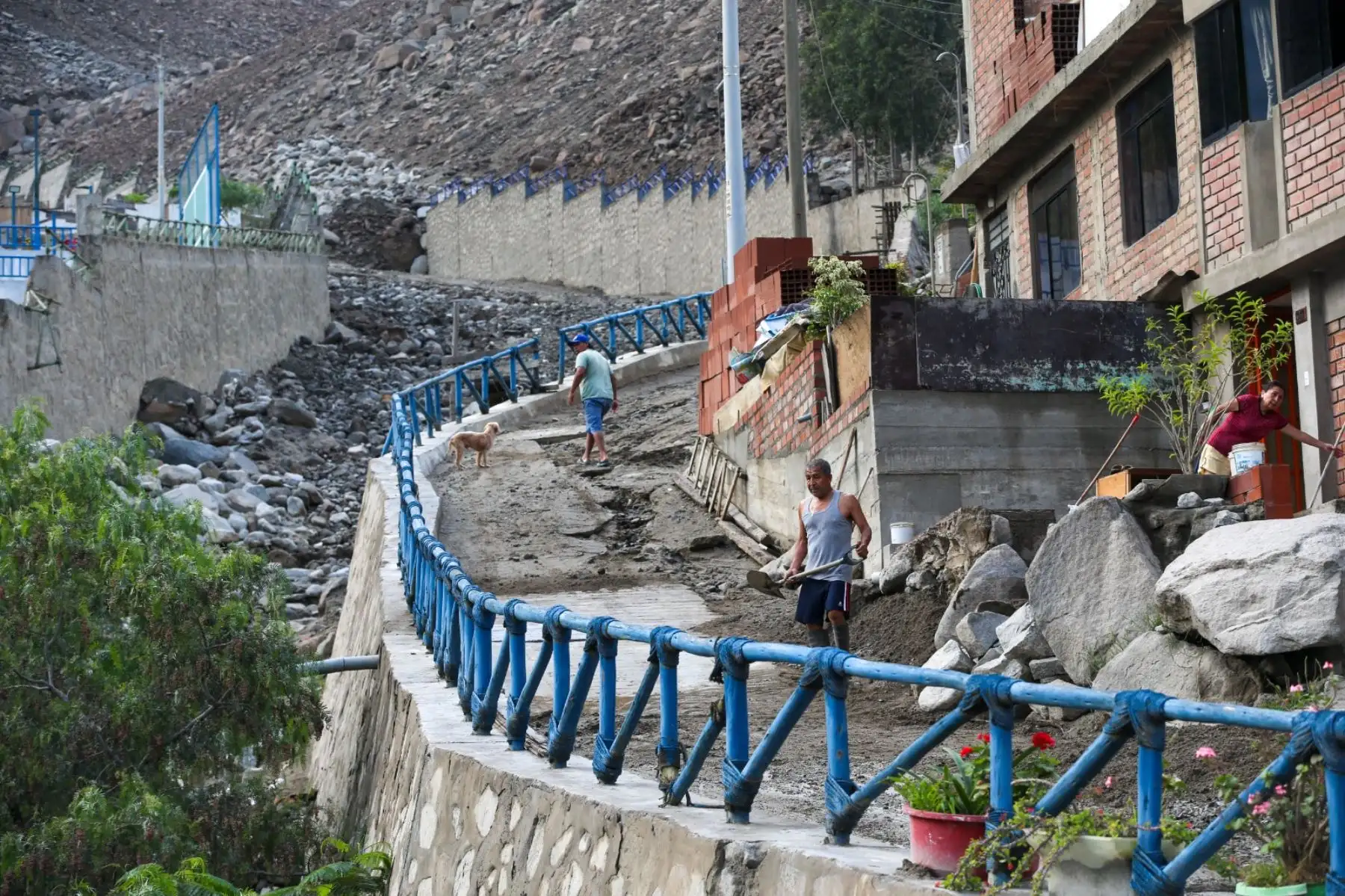 El río Rímac, que cruza por diferentes distritos de Lima Metropolitana y Callao, incrementó su caudal y se acercan a los umbrales de alerta que ponen en riesgo a las familias que viven cerca. Quebrada Ramón Castilla en Chosica. Foto: ANDINA/ Tatiana Gamarra