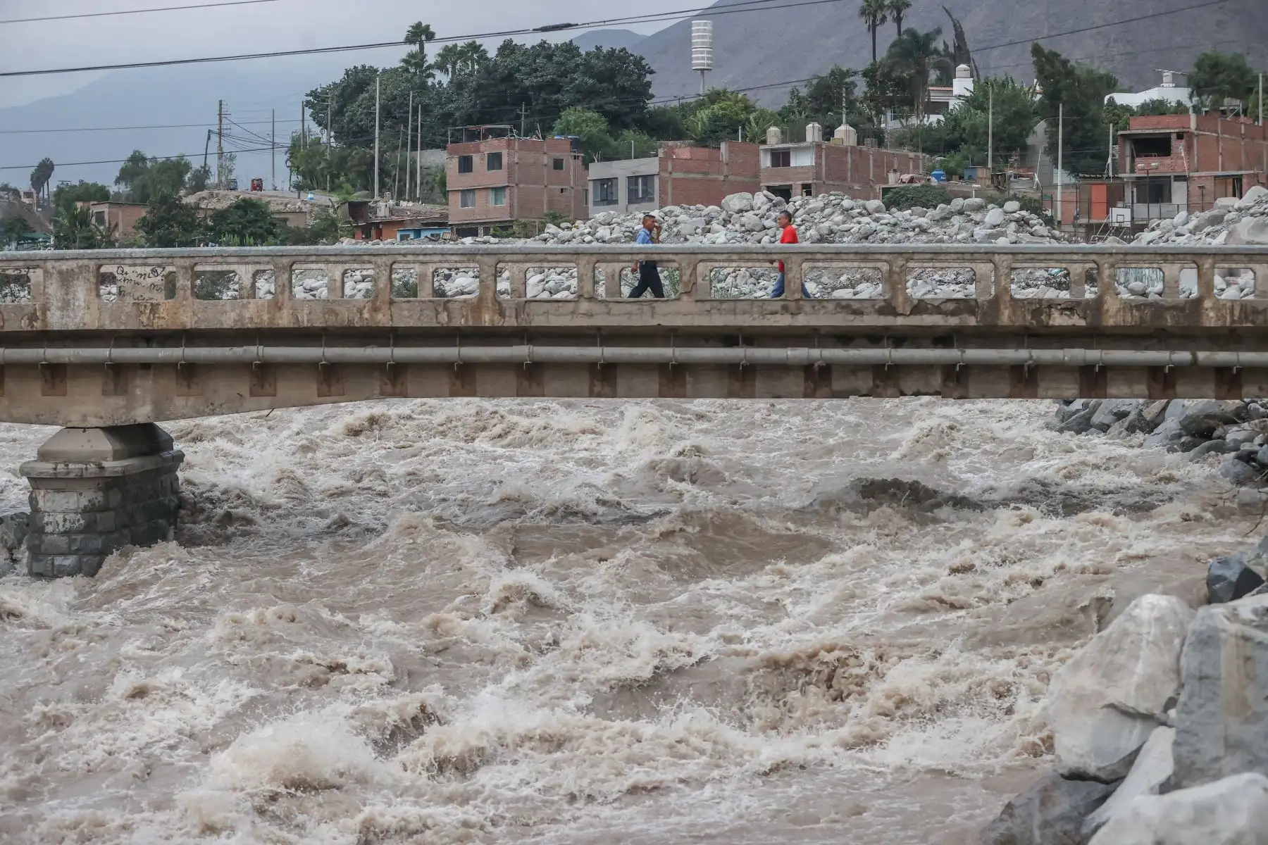 Se ha restringido el tránsito vehicular en el puente Caracol en Chosica, con la finalidad de salvaguardar la vida de las personas que utilizan esa vía ante la crecida de las aguas.
Foto: ANDINA/Andrés Valle