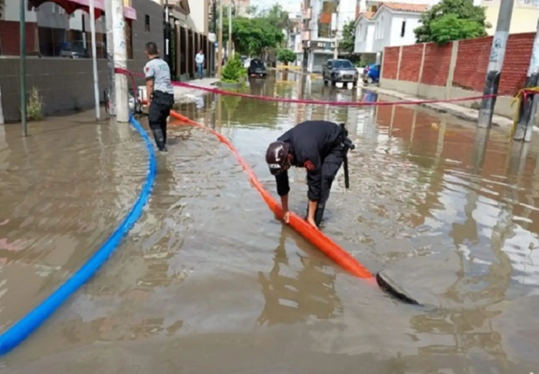 ANDINA/Difusión