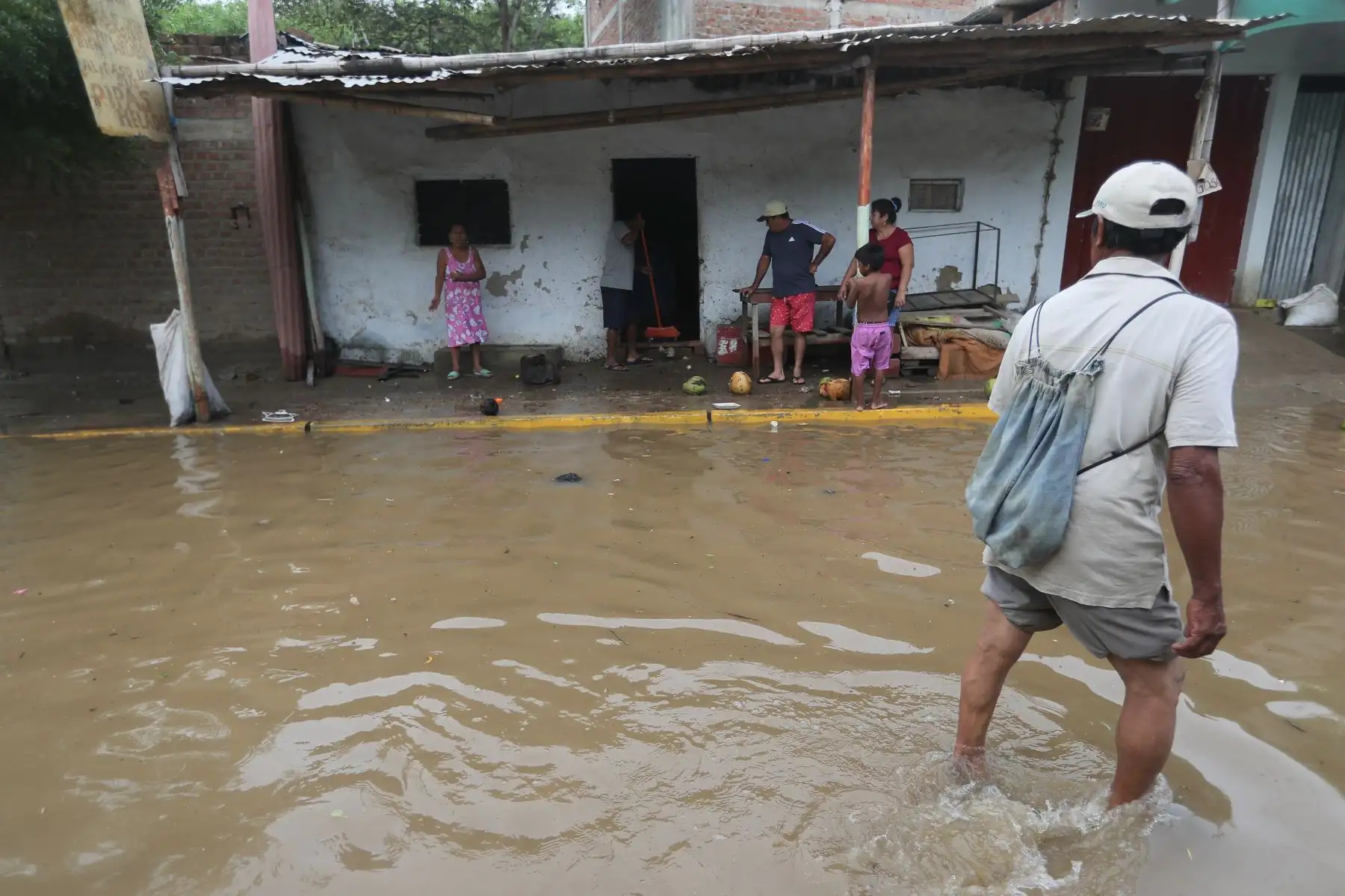 Foto: ANDINA/Ricardo Cuba.