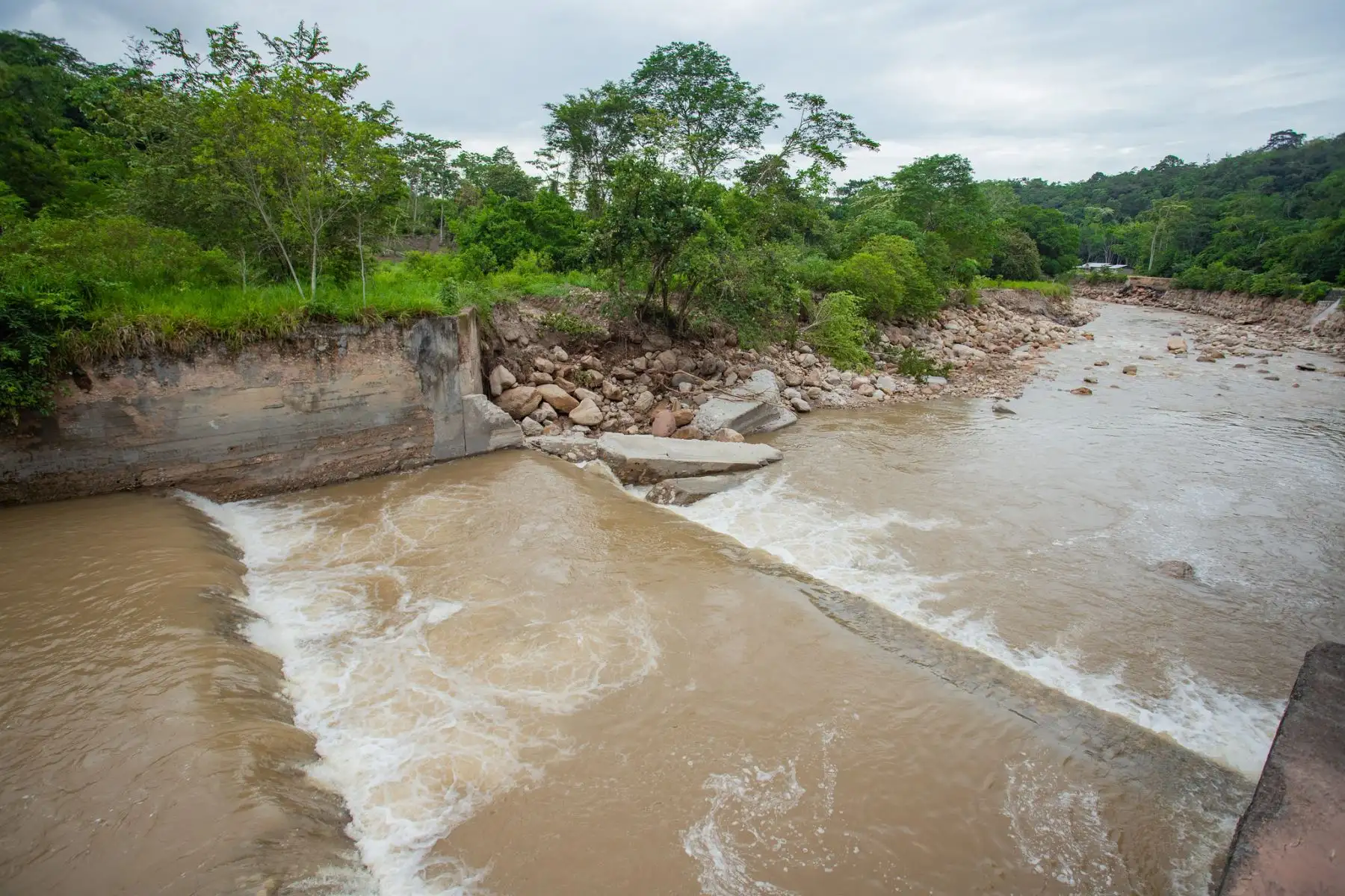 ANDINA/Difusión
