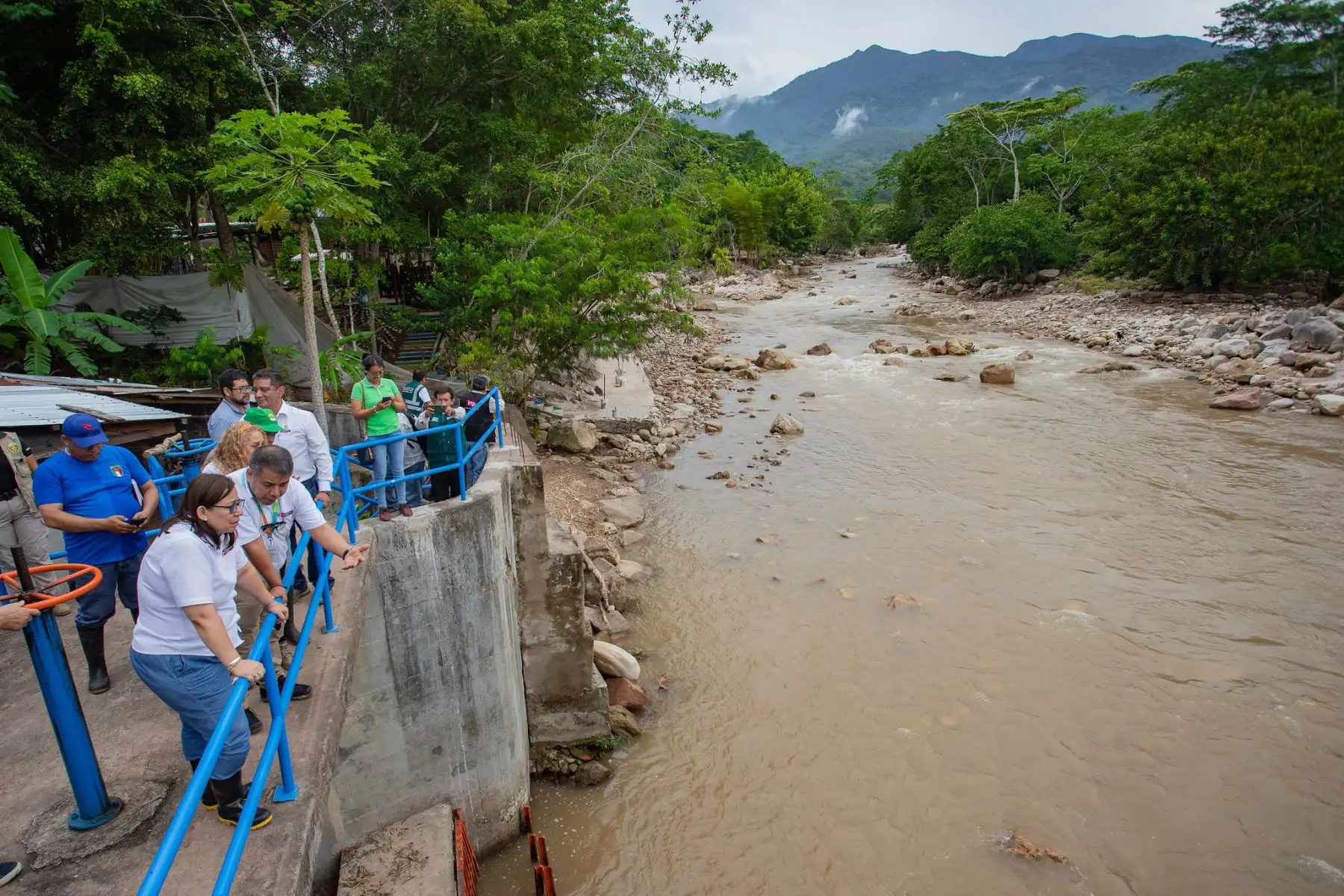 Desde Tarapoto, la ministra de Desarrollo Agrario y Riego (MIDAGRI), Nelly Paredes, llegó a la región San Martín e inició la inspección de las áreas de cultivos, que resultaron afectadas por las intensas lluvias y desbordes de ríos, como los impactos en los sistemas de riego y bocatomas.
Foto:ANDINA/MIDAGRI