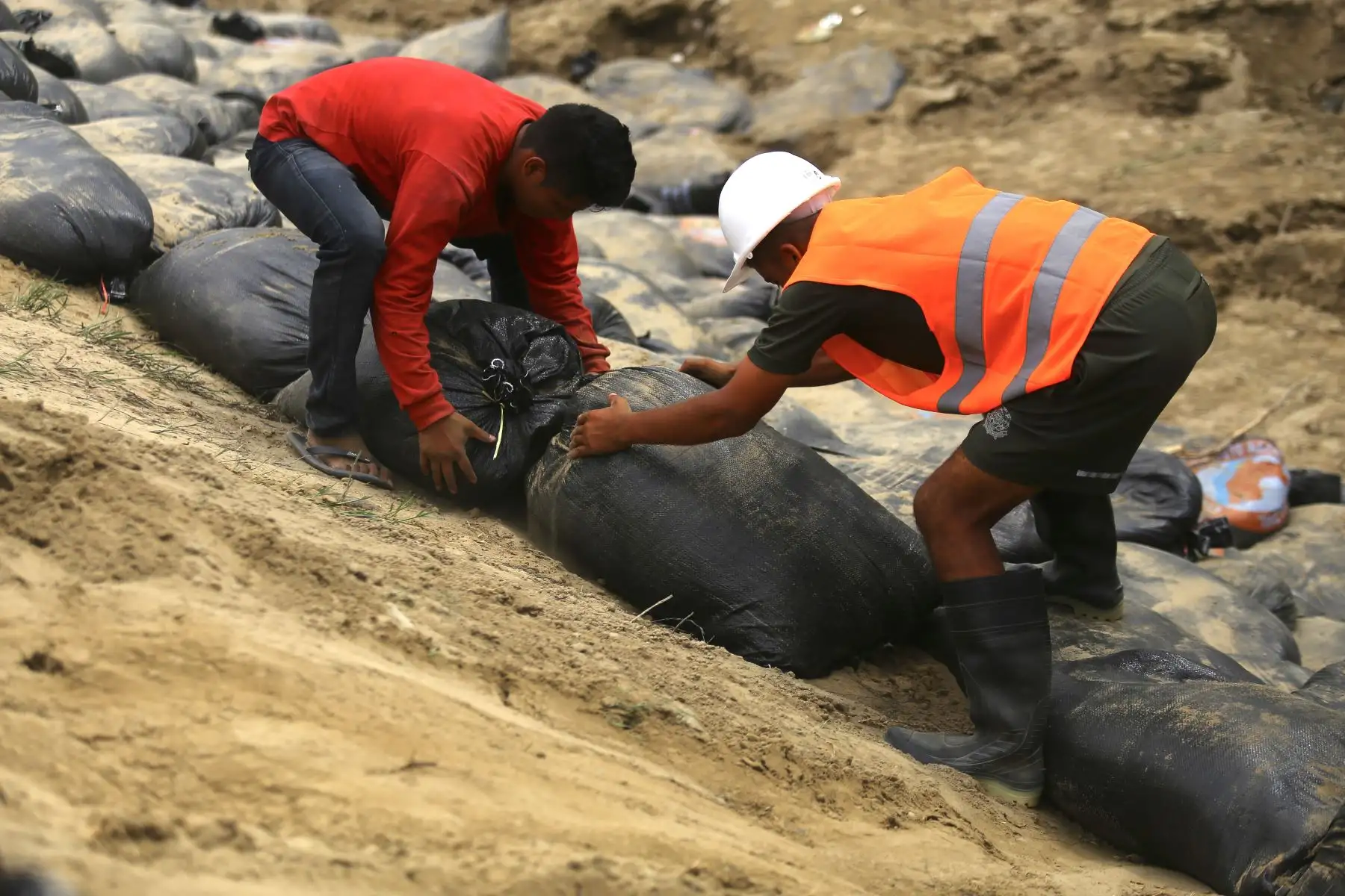 Ejército Peruano y pobladores del Bajo Piura unen fuerzas para colocar sacos de arena  en la ribera del río Piura, a manera de prevención ante en crecimiento del caudal a la altura del puente Independencia, en el  distrito distrito de Catacaos.

Foto: ANDINA/Ricardo Cuba