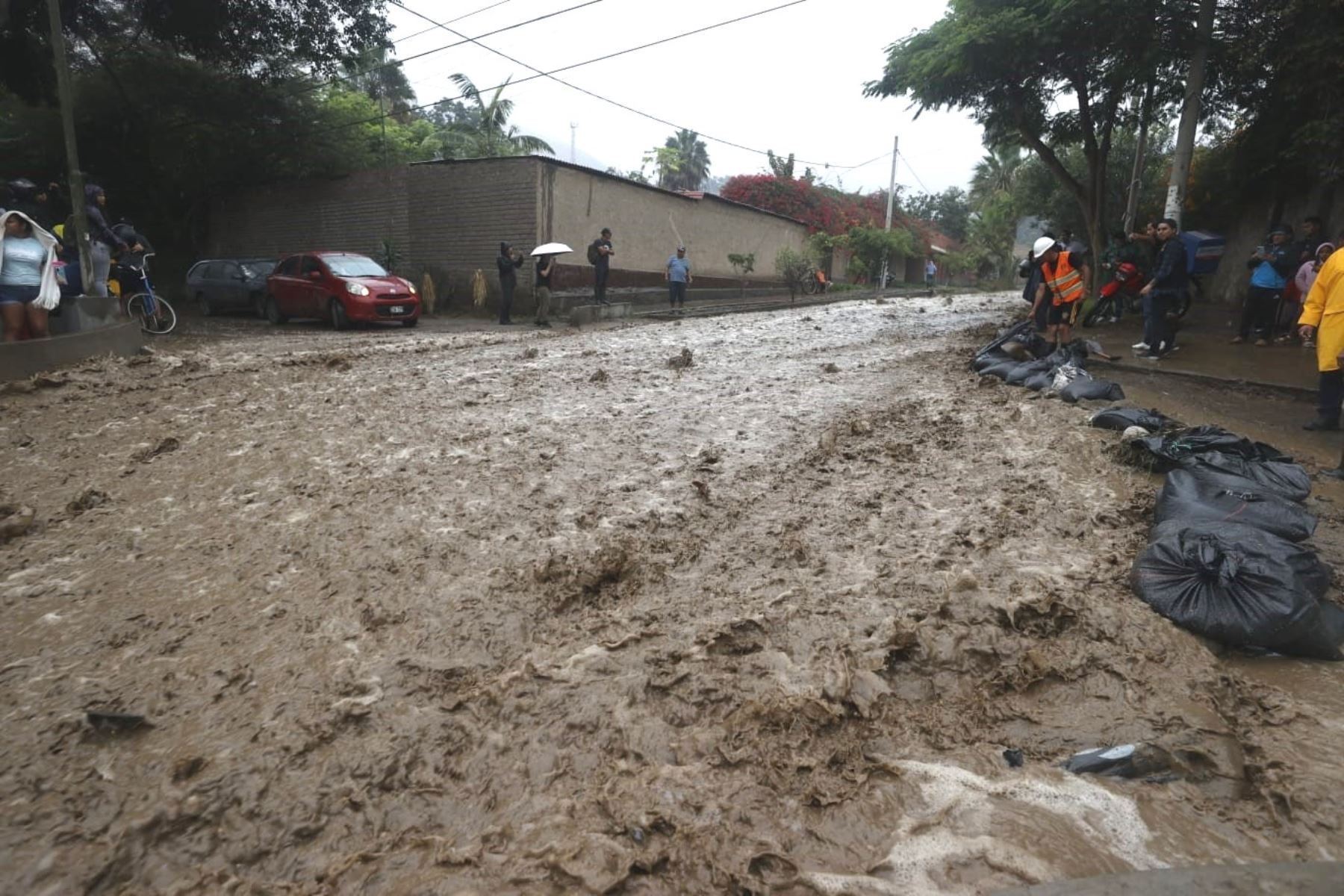 Ciclón Yaku: cerca de 20 quebradas se activaron en Lima a causa de las lluvias. Foto: ANDINA/Vidal Tarqui.