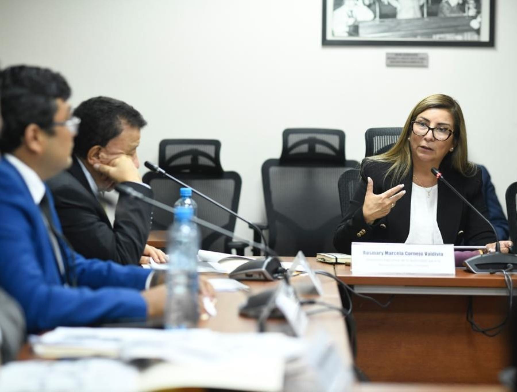 Directora ejecutiva de la Autoridad para la Reconstrucción con Cambios (ARCC), Rosmary Cornejo Valdivia.