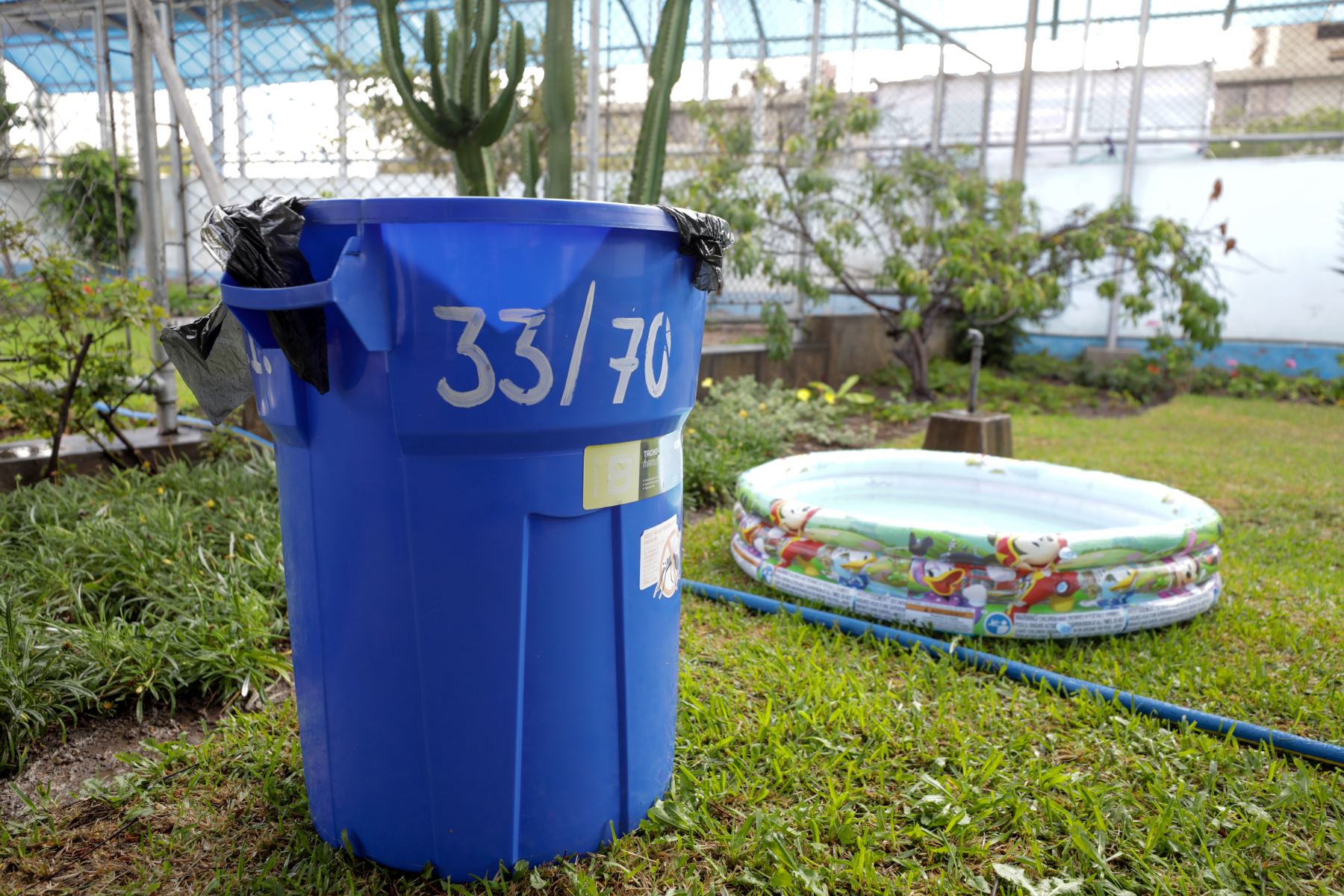Recomiendan eliminar aguas estancadas para evitar dengue, zika y la chinkungunya. Foto: Andina