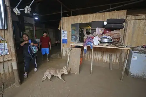 Damnificados se encuentran sin agua ni desagüe y esperan la llegada de las autoridades para para enfrentar esta difícil situación.  ANDINA/Vidal Tarqui