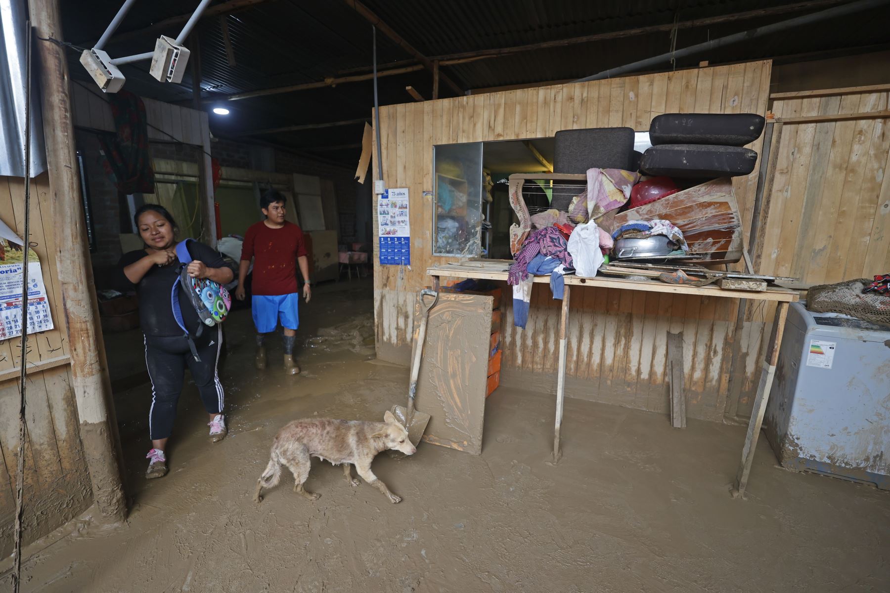 Un muerto, 800 damnificados y más de 2,500 afectados dejan hasta el momento los huaicos que afectaron esta semana al distrito de San Antonio de Huarochirí , en la provincia de Jicamarca.

 Foto: ANDINA/Vidal Tarqui