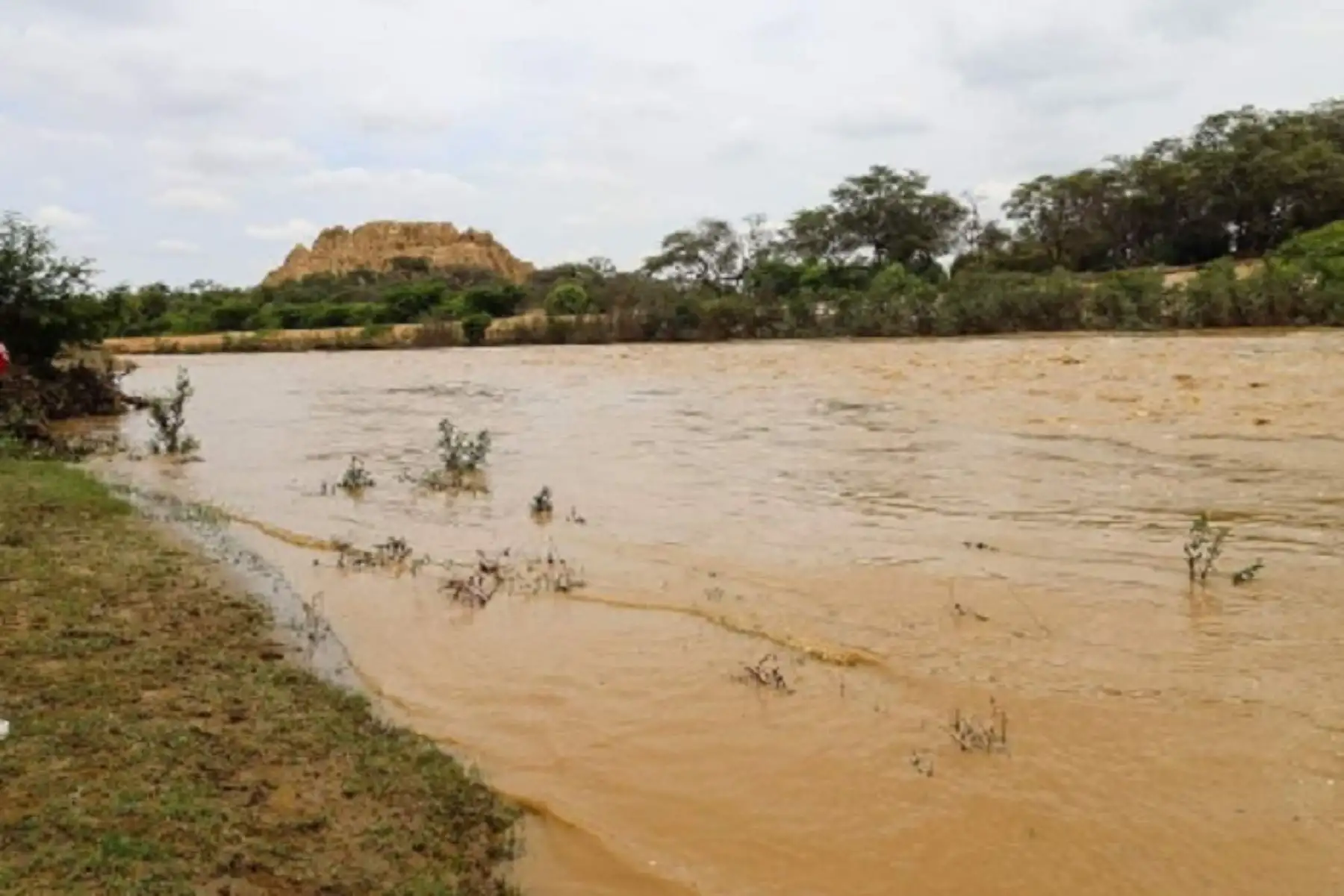 Las aguas del río La  Leche están prácticamente a 50 metros de la huaca El Loro, donde se encontró el Señor de Sicán.