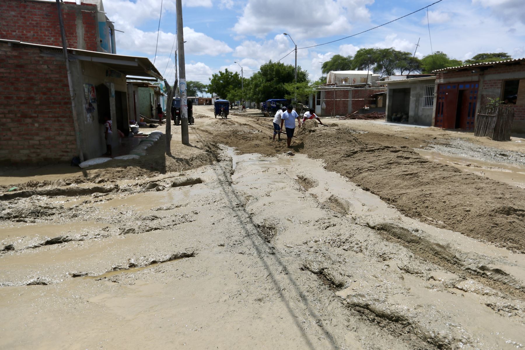 El Centro Poblado Pedregal Chico de Piura que fue afectado por el niño costero en el 2017 vuelve a ser víctima de las lluvias por el ciclón Yaku, dejando viviendas y calles llenas de lodo y con agua estancada.

Foto: ANDINA/Ricardo Cuba
