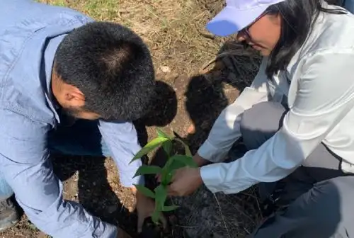 La Gran Cruzada verde es parte de la estrategia sectorial Perú Natural, que promueve la conservación y puesta en valor del capital natural con énfasis en la lucha contra la deforestación en un contexto de cambio climático y la 
protección de la biodiversidad.