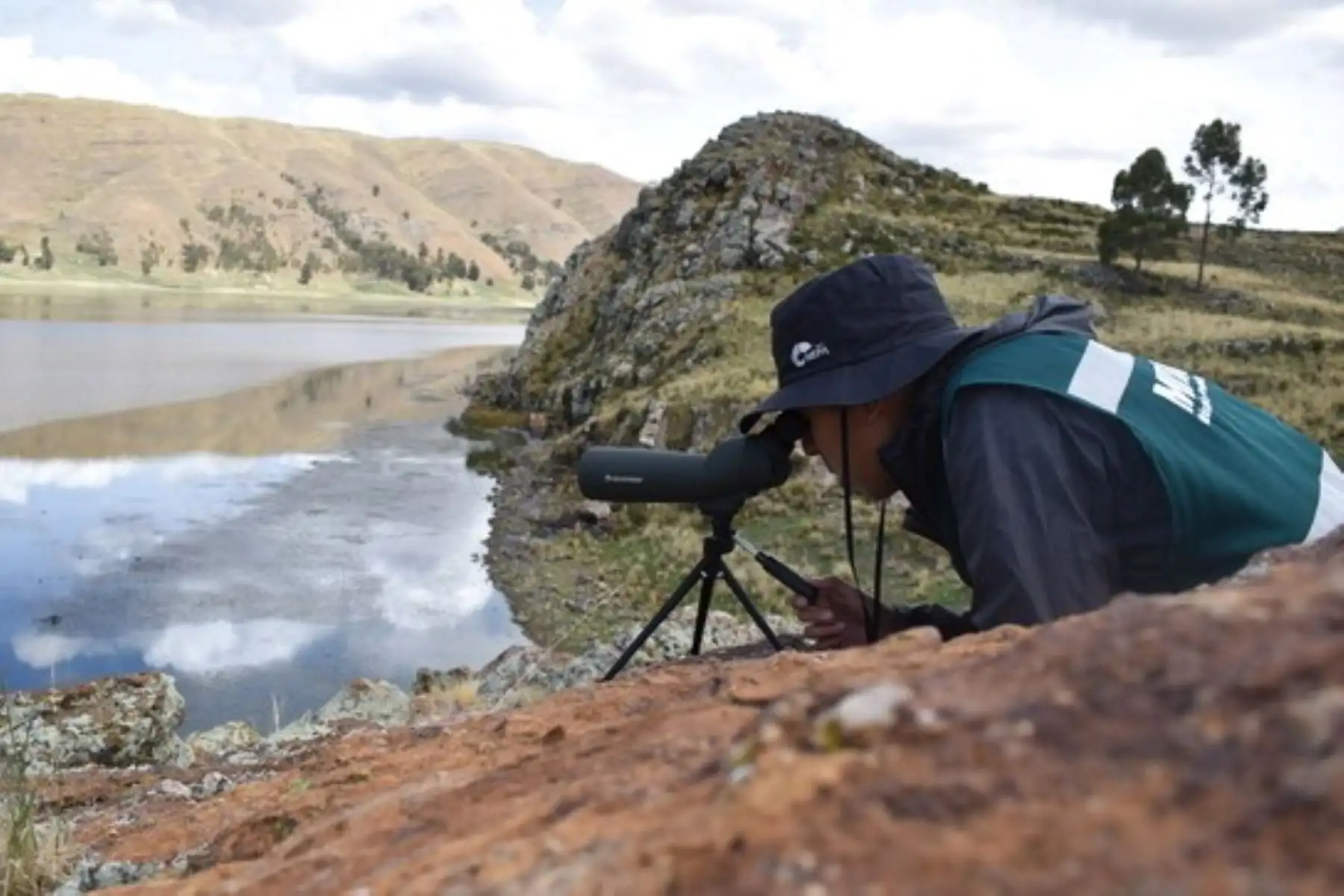 El Serfor hace vigilancia con la finalidad de promover la conservación y protección de la fauna silvestre. Foto: Serfor