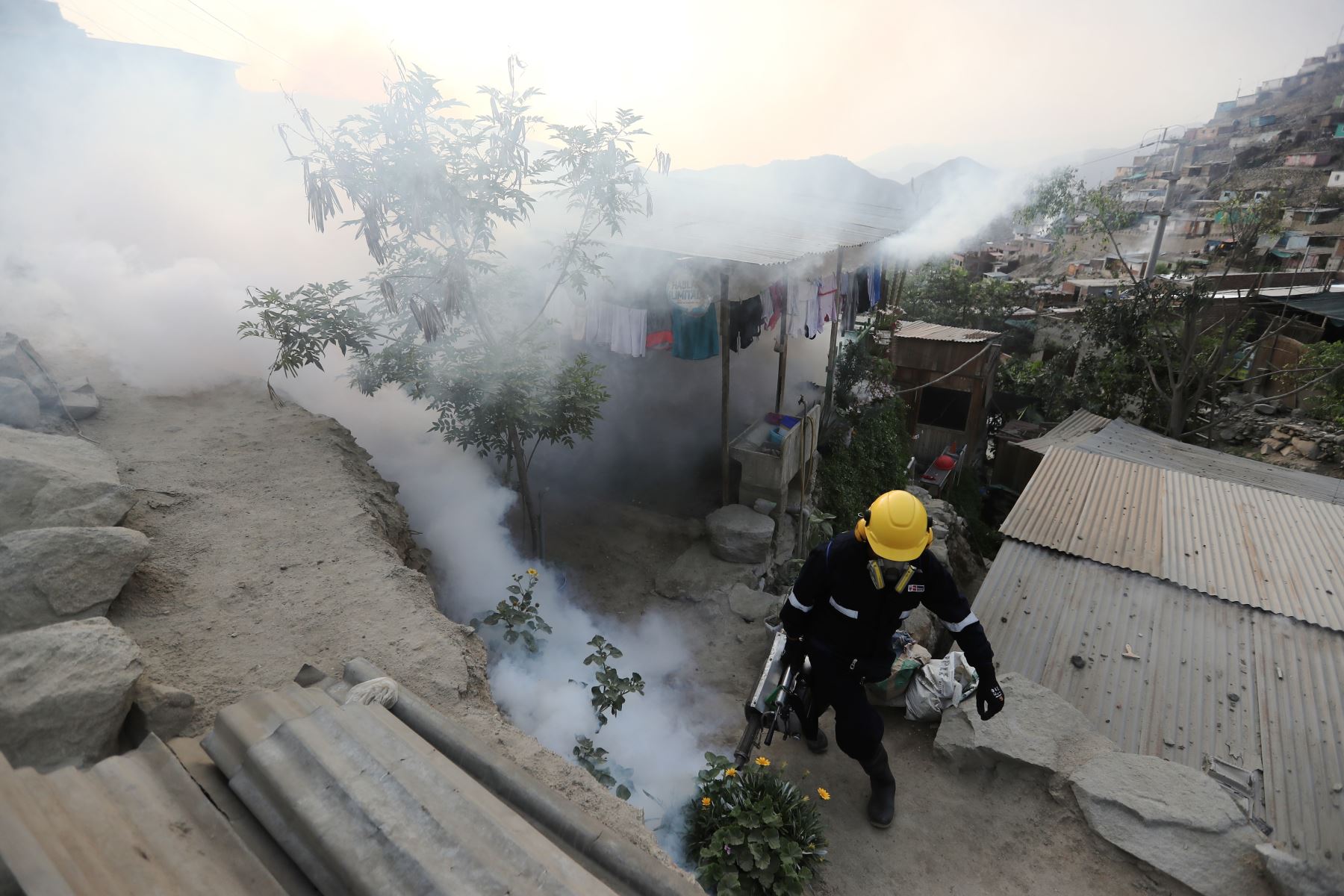 Personal de la Diris Lima Este realiza una nebulización espacial  para combatir al zancudo transmisor del dengue. Esta fumigación se realizo en las zonas X y R de la  Comunidad autogestionaria de Huaycán – Ate. 

Foto: ANDINA/Ricardo Cuba